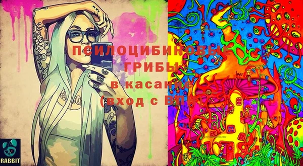 дурь Гусь-Хрустальный