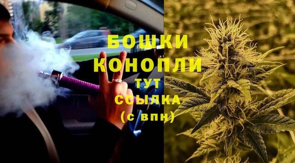 ALPHA PVP Гусев