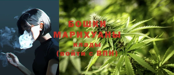 ALPHA PVP Гусев
