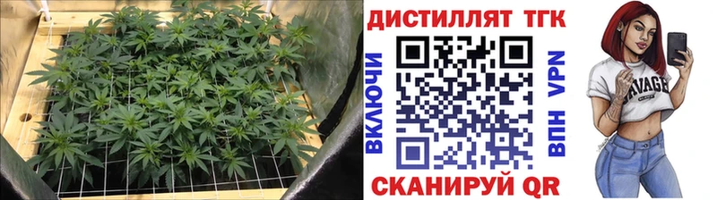 дарк нет формула  Заводоуковск  ТГК THC oil 