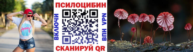 цены Заводоуковск Галлюциногенные грибы Psilocybine cubensis
